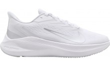 Platinum Womens Shoes Nike Wmns Zoom Winflo 7 CN1647-500