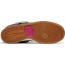 Grey Womens Shoes Dunk Low Pro Premium SB FS2475-844
