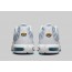 Black Mens Shoes Nike Air Max Plus HP4093-679