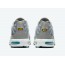 Light Grey Mens Shoes Nike Air Max Plus IN0618-987