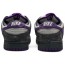 Purple Mens Shoes Dunk Low Pro SB RG3189-402