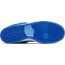 Blue Womens Shoes Dunk Low Pro SB RH9755-602