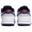 Light Grey Mens Shoes Dunk NBA x Dunk Low EMB RS3090-172