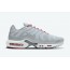Light Grey Red Mens Shoes Nike Air Max Plus TE1522-302