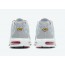 Light Grey Red Mens Shoes Nike Air Max Plus TE1522-302
