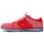 Red Mens Shoes Dunk Stingwater x Dunk Low SB VN5966-081