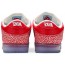 Red Womens Shoes Dunk Stingwater x Dunk Low SB VN5966-081