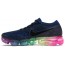 Multicolor Mens Shoes Nike Air VaporMax WG7107-158